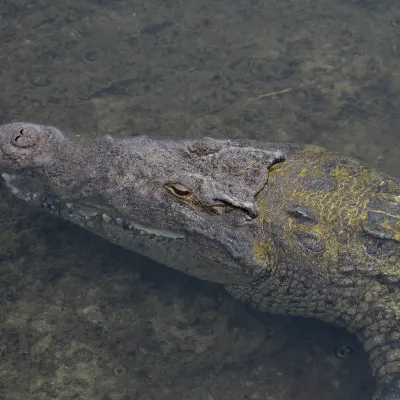 Дизайнерский отель в г. Орландо