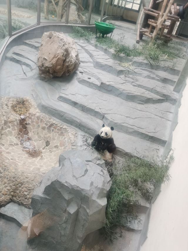 Nanshan Bamboo Sea