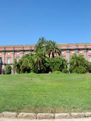 Museo e Real Bosco di Capodimonte