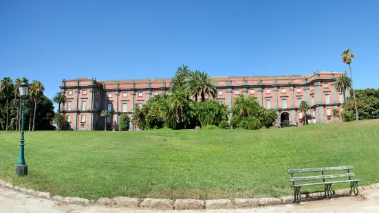 Museo e Real Bosco di Capodimonte