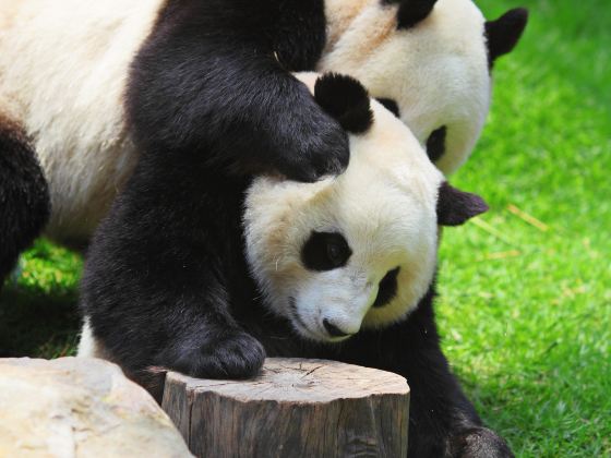 アデレード動物園