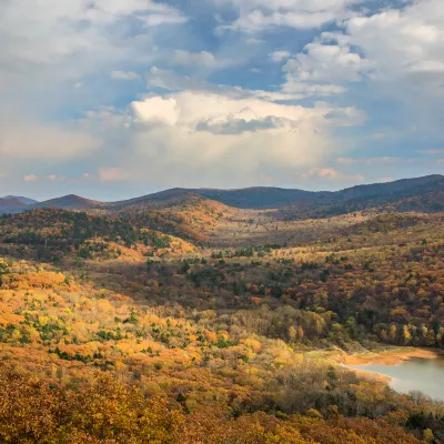Отзывы об отеле Amaara Forest Hotel Sigiriya