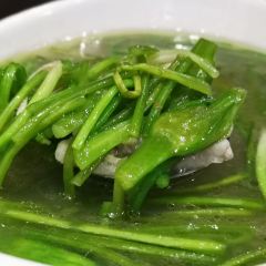 XI ZHOU HAN LIN CAN TING User Photo