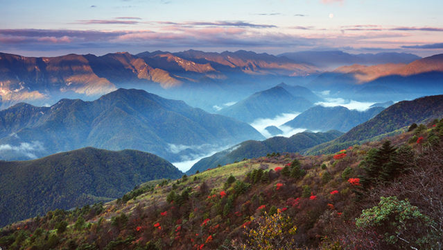 hu bei shen nong jia lin qu shen nong jia lin qu