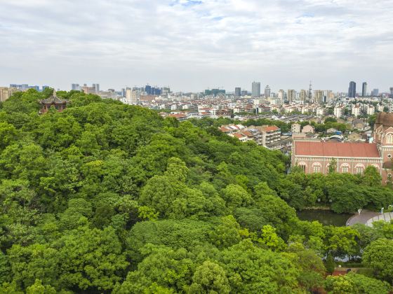 教場山公園