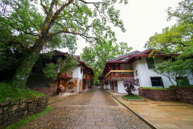 FLIPORT Hotels in Wuyishan