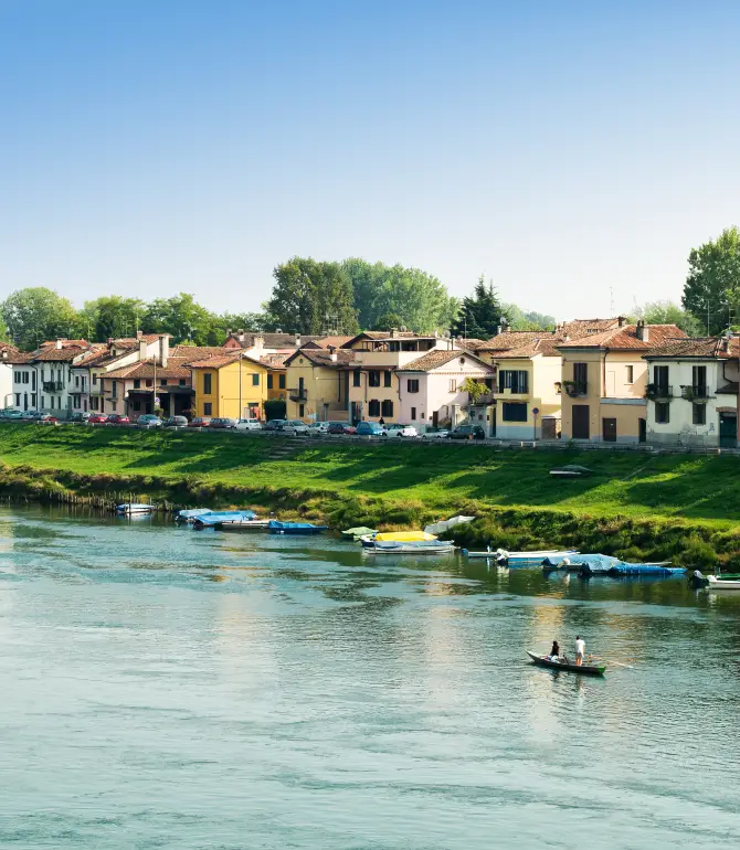 Pavia