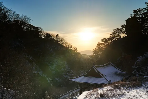 Gucheon Caravan House Muju