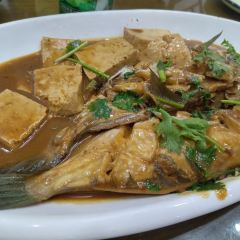 One tofu User Photo