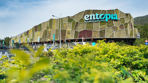 Entopia by Penang Butterfly Farm