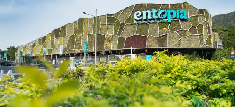 Hotels near Relau Villa (Relau House)