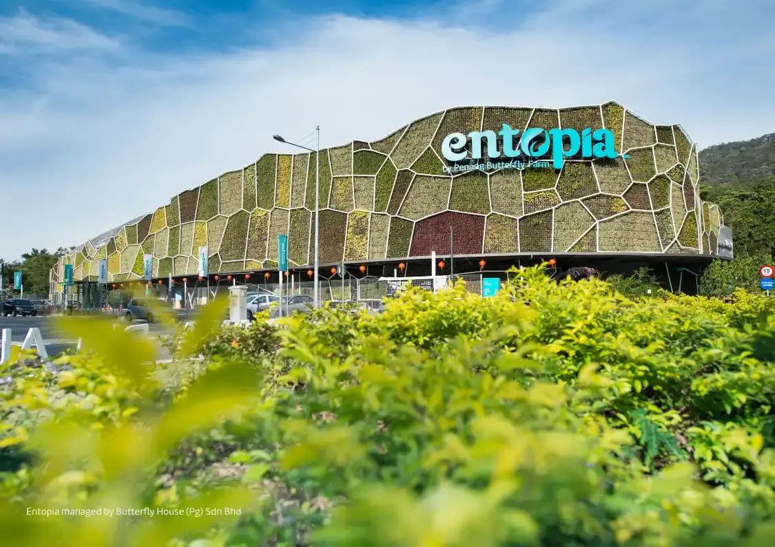 Hotels near Entopia by Penang Butterfly Farm