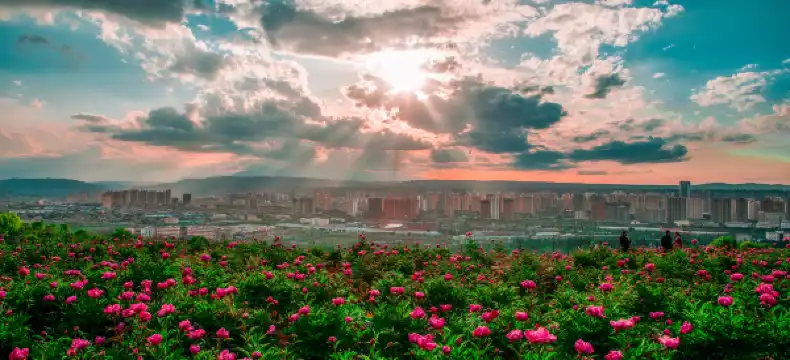 yiju Properties in Linxia