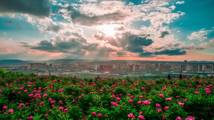 yiju properties in Linxia