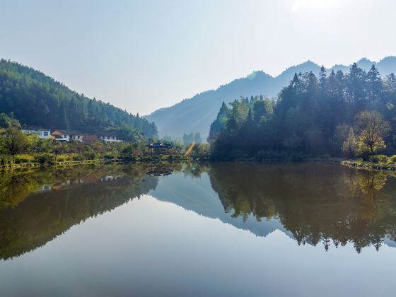 杜鵑花博覽園