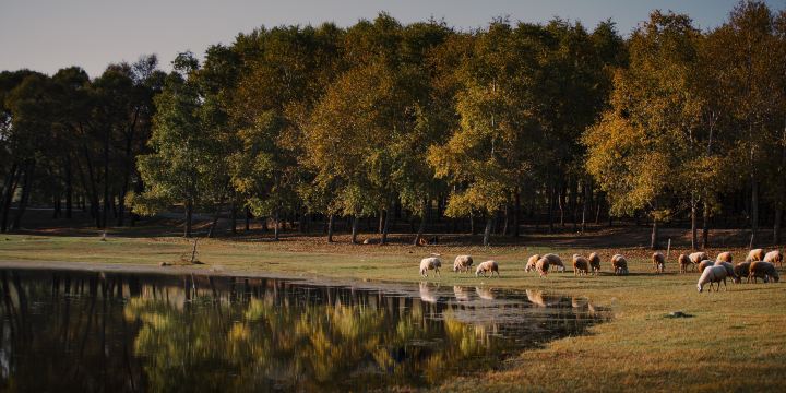Taizi Lake