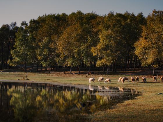 Taizi Lake