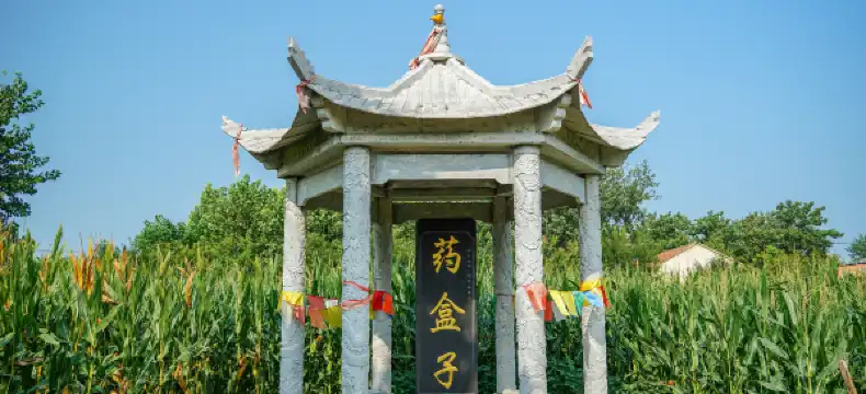 Shell properties in Feng County