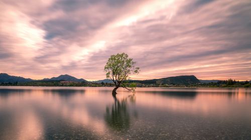 Lake Te Anau