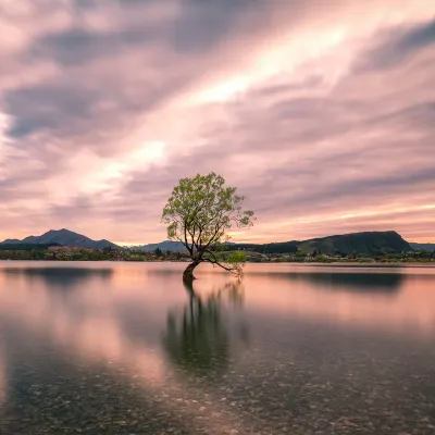 Palmerston North to Brisbane Flights