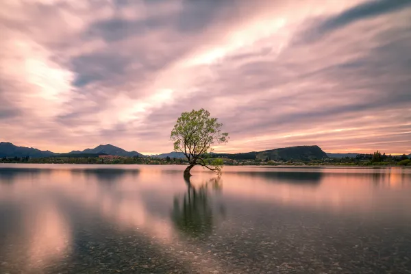 Flights from Blenheim to Christchurch