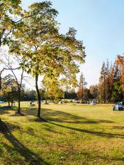 Binjiang Forest Park