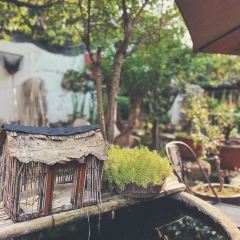 九里羊汤馆(鼓楼园林店) User Photo