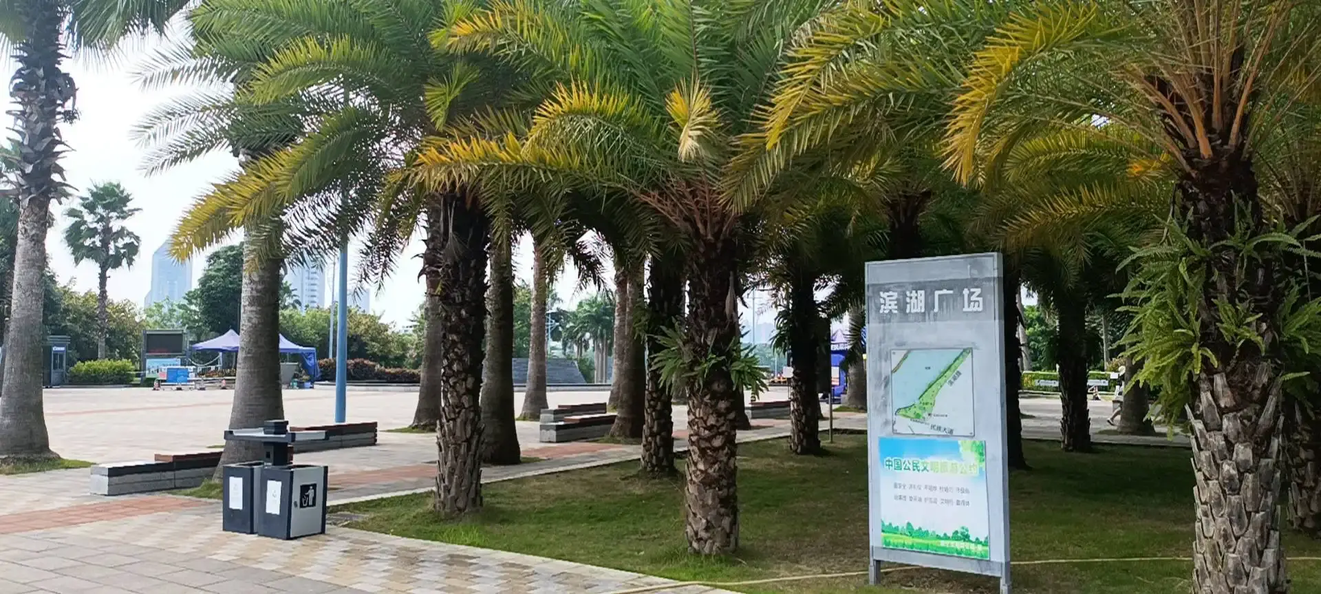 鄰近濱湖廣場的酒店
