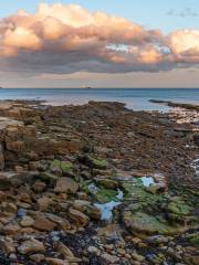 Cullercoats Bay