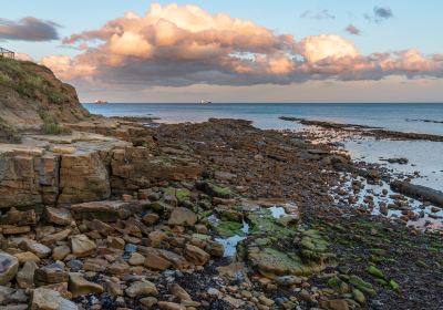 Cullercoats Bay