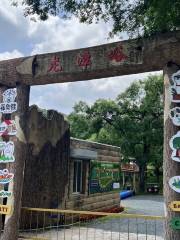 Shenyang National Forest Park (Northwest Gate)