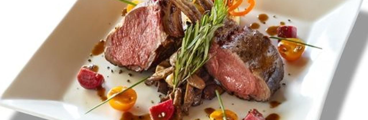 Wally's Desert Turtle