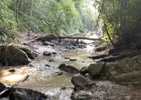 基諾山巴漂村雨林徒步