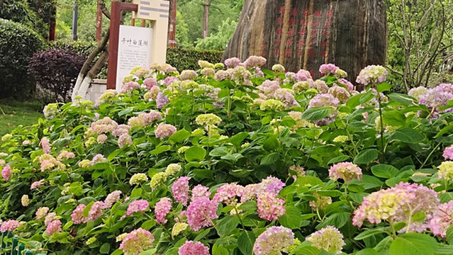 Jiangkou Ancient Town