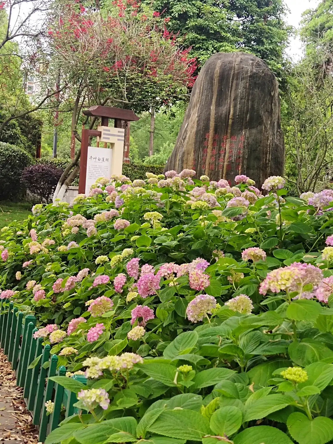 장커우구전/강구고진 주변 호텔