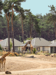 Safari Resort Beekse Bergen