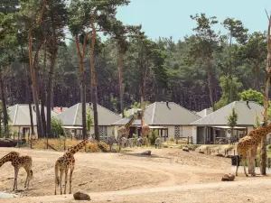 Safari Resort Beekse Bergen