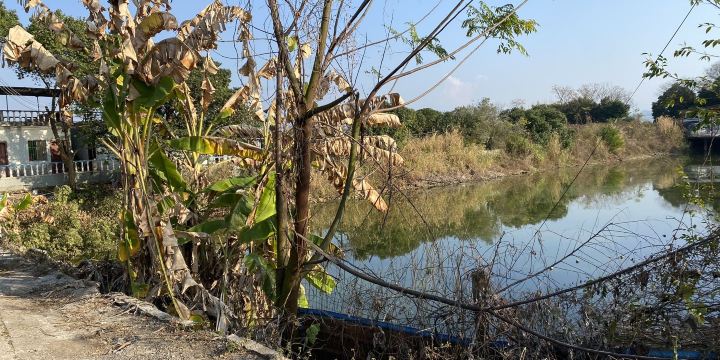 Jinhua Ecological Garden