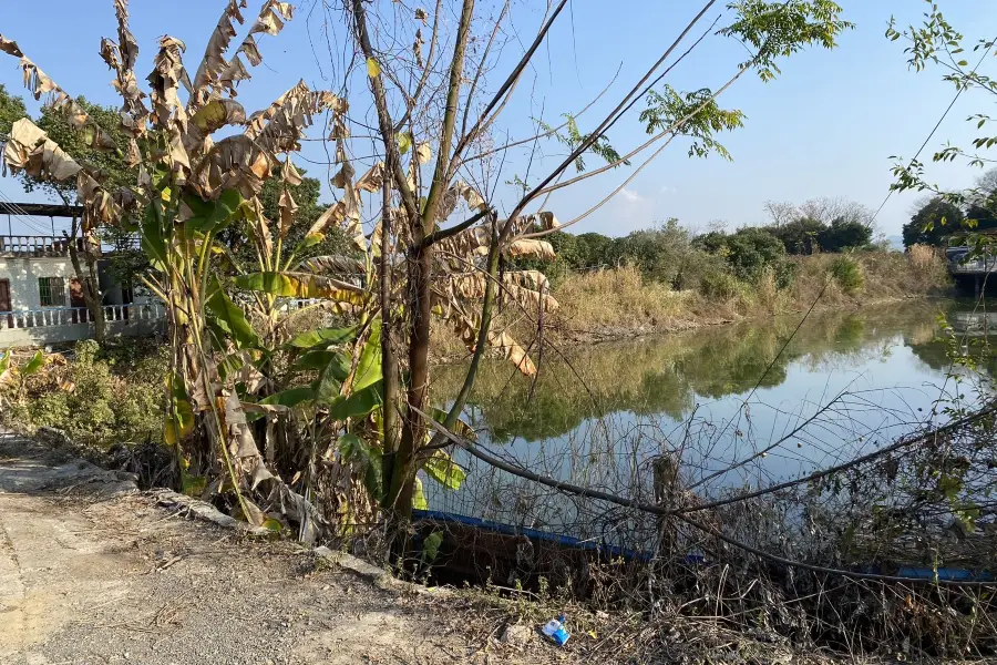 Jinhua Ecological Garden