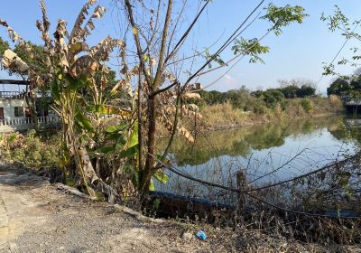 Jinhua Ecological Garden