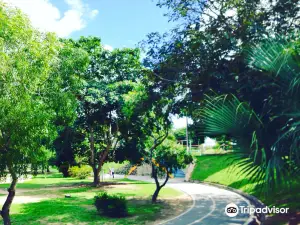 Children's park