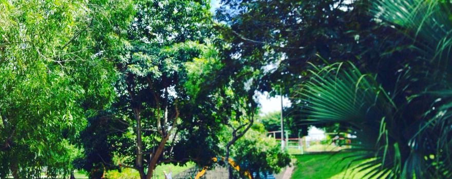 Children's park