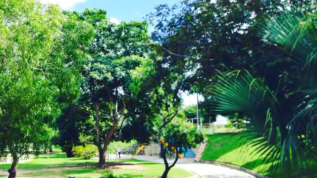 Children's park