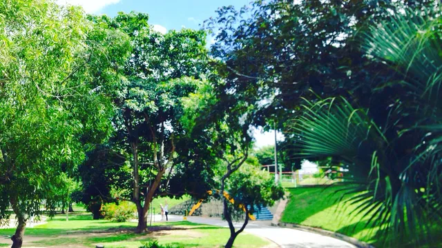 Children's park