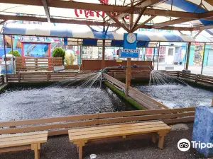 Tedori Fishland
