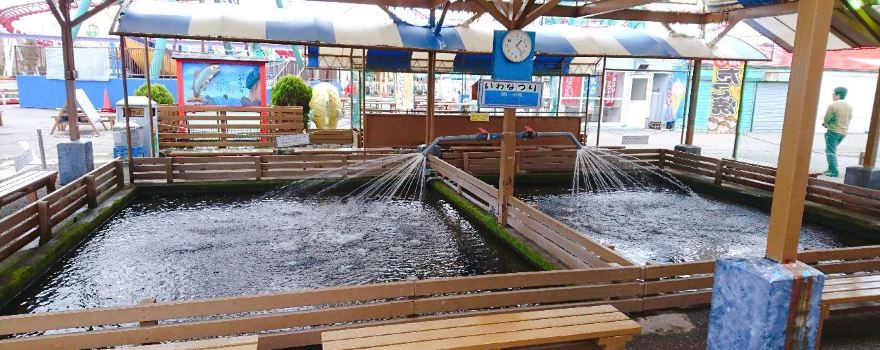 Tedori Fishland