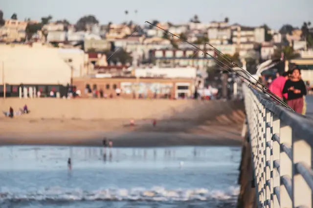 Sea Angling in Los Angeles