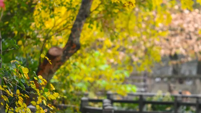 4_Shanghai Zoo