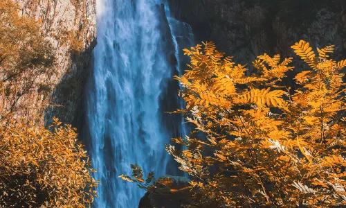Liu Bowen's Hometown Scenic Area Baizhangji Fall