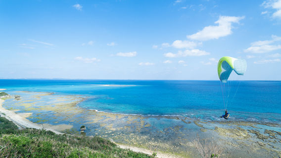 Paragliding in Okinawa